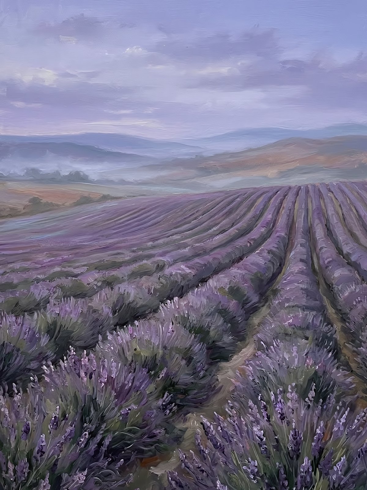 Lavender Field